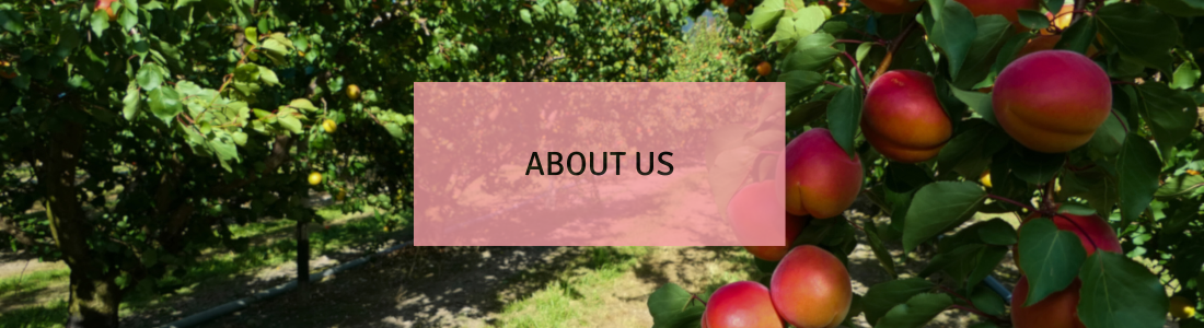 About us welcome image