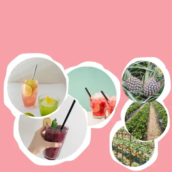 Image of drinks and farms